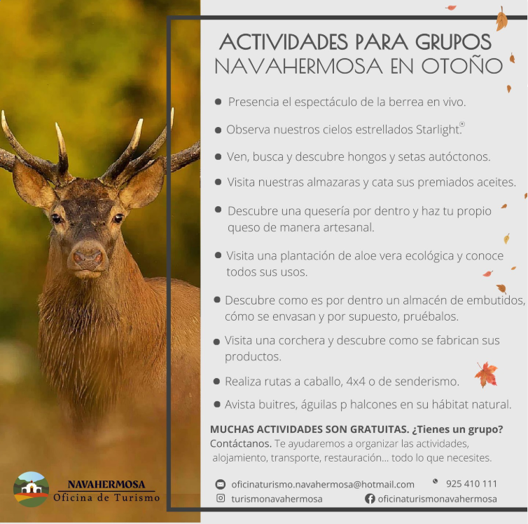 🍂 Actividades para grupos en Navahermosa este otoño