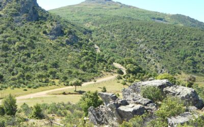 Ruta Madroña – Hontanar: naturaleza en estado puro